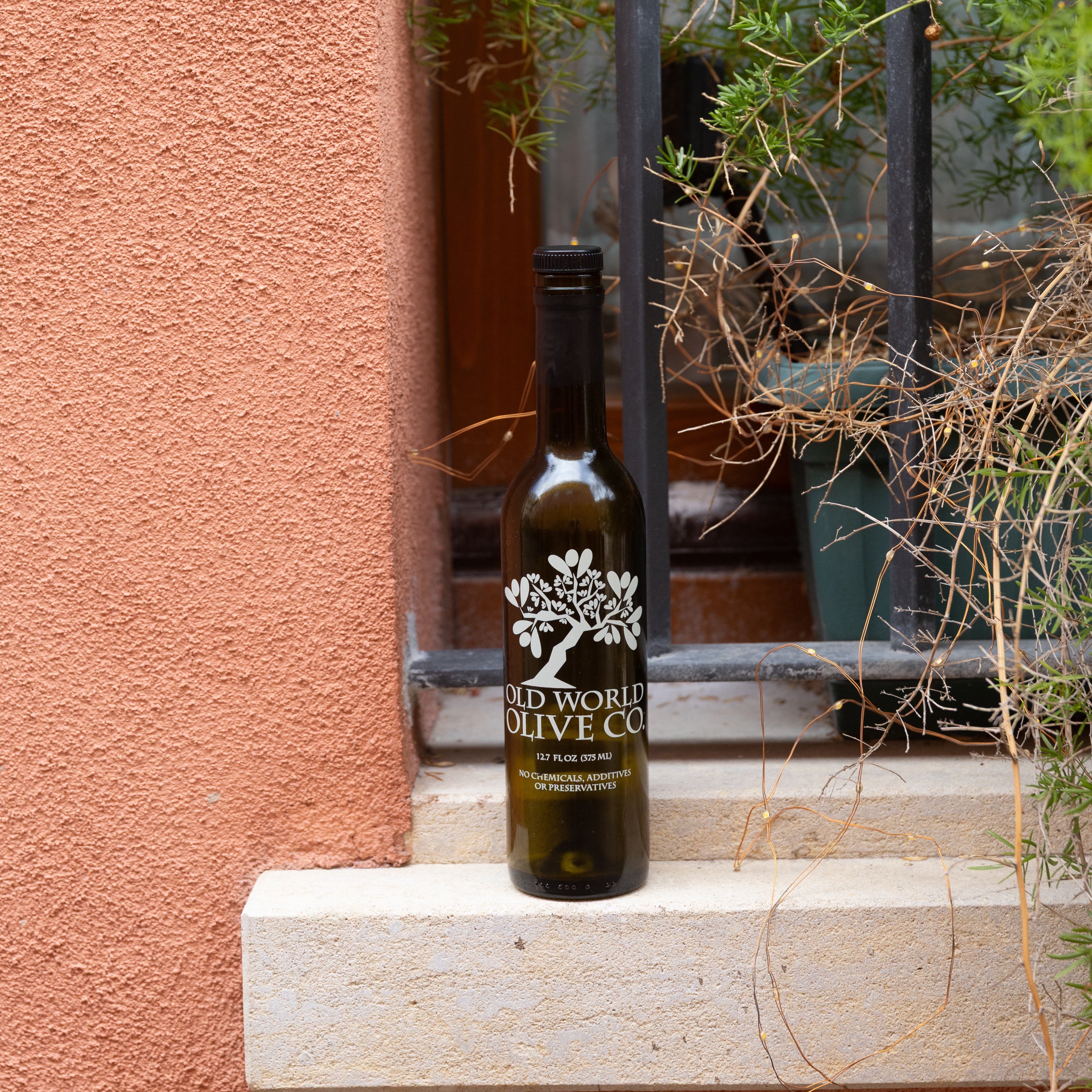 Meyer Lemon Infused Olive Oil – Old World Olive Co